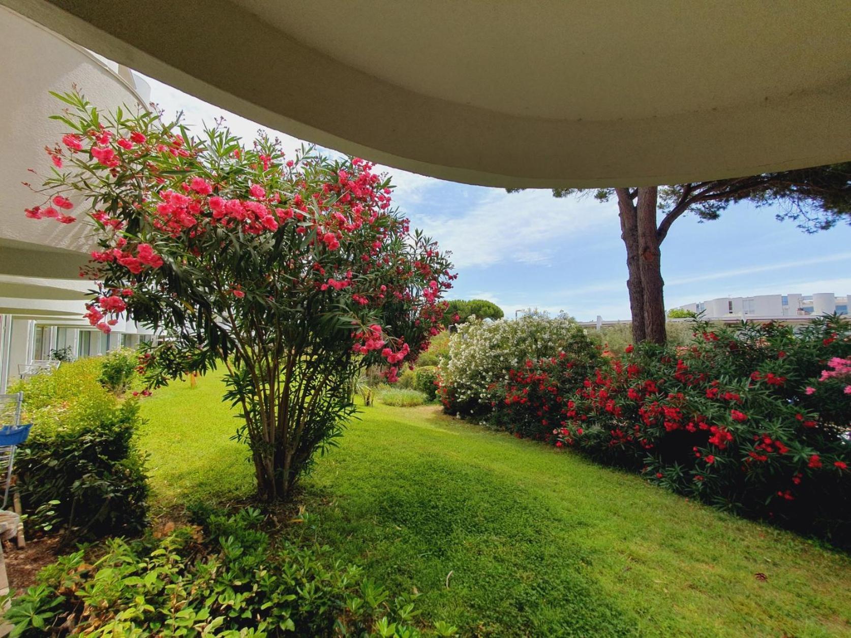 T2 Traversant Familial Cap Sud Parking Plages - Rossiconciergerie - Linge En Option La Grande-Motte Exterior foto